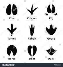 Animals Footprints Paw Prints Set Of Different Animals And Birds Footprints And Traces Cow Chicken Pig Turkey Animal Footprints Bird Footprint Print Sets