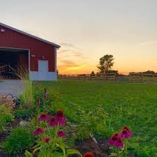 Check spelling or type a new query. The Legacy Ranch