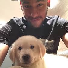 Deze maand verscheen heart of a lion, de biografie van memphis depay. Images Of Famous Footballers With Their Dogs