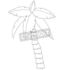 Maybe you would like to learn more about one of these? Palm Tree Outline Drawings Coconut Tree Palm Tree Vector Tourism Fototapete Fototapeten Palme Subtropischen Coco Myloview De