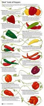 8 Best Pepper Scale Images Stuffed Hot Peppers Stuffed