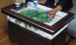 High quality materials and parts are used to ensure a great fit and finish. Fish Tank Coffee Table Fun Community Facebook