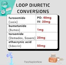 Image result for Loop Diuretic