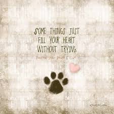10 Amazing Quotes About Animals And Love Dog Quotes Animal Quotes Words