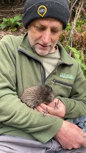 The Capital Kiwi Project ha...