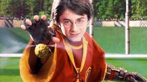 For starters, harry was facing off against slytherin. Chapter Eight The First Quidditch Match Falling For Hermione Harry Potter Love Story