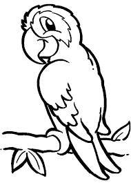 Parrot Coloring Pages Bird Coloring Pages Animal Coloring Pages Cartoon Coloring Pages