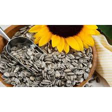 Helianthus annuus linn atau bunga matahari merupakan tanaman hias yang sering dijadikan obat tradisional. Harga Biji Bunga Matahari Lokal Terbaru Juni 2021 Biggo Indonesia