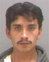 Reward & Most Wanted