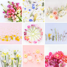 Then, in most cases, you can change your wallpaper background or lock screen from the settings menu. Digital Blooms Archives Justinecelina