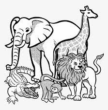 Nothing can prepare you for a safari in tanzania: Jpg Black And White Download Africa Clipart Animal Africa Safari Animals Coloring Sheets Free Transparent Png Download Pngkey