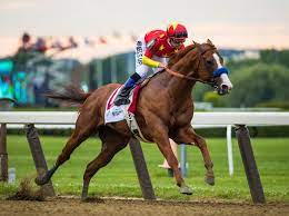 Sep 19, 2021 · a comprehensive database of more than 113 horse quizzes online, test your knowledge with horse quiz questions. Twenty Horse Racing Questions For National Trivia Day America S Best Racing