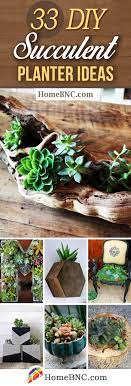 See more ideas about succulents, growing succulents, plants. 33 Best Diy Indoor And Outdoor Succulent Planter Ideas For 2021