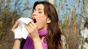 Image result for sneeze images