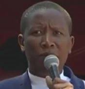 Malema, Zim minister `working together` to topple Mugabe, report claims