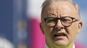 Feeding the Chooks: will QLD save Anthony Albanese from minority government 