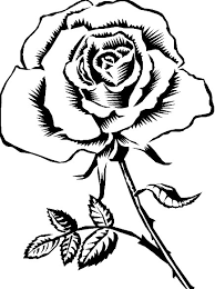 Cara mewarnai gambar bunga mawar. Sketsa Gambar Bunga Mawar Yang Mudah Kata Kata