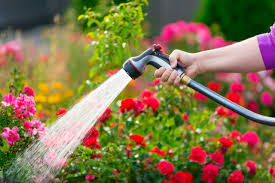 Maybe you would like to learn more about one of these? How To Increase Water Pressure In Garden Hose Hgtv