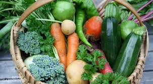 Organic pest control doesn't have to mean fruits and veggies riddled with worms. Preventing Pests In Your Garden 5 Strategies For Success