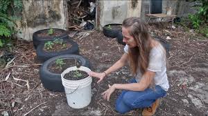 Get it as soon as mon, mar 15. Self Watering 5 Gallon Bucket Gardens Benches And Bad News The Survival Gardener