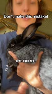 #MeatRabbits #HomesteadLife #FamilyCompound #RabbitFarming  #SelfSufficientLiving