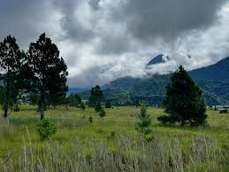 Image result for tbn:ekRZeqiUkU8b5M::www.hormiga.org/fondosescritorio/wallpapers/Paisajes-y-naturaleza/fotos/Paisajes-22.jpg