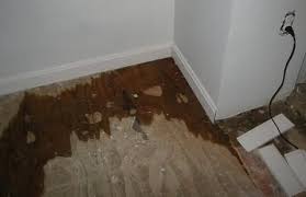 How To Remove Mould Stains From Wood Floors Remove Mold Stains Mold Remover Diy Molding