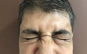 Image result for Blepharis involucrata