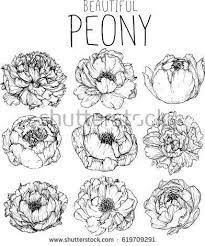 Pin On Watercolor Subjects