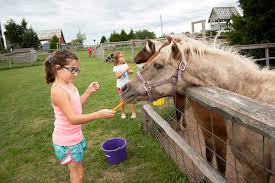 Animal care or pet zoo concept. Up Close Adventures For Animal Lovers Petting Zoos Near The Fox Valley