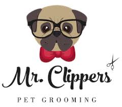 We did not find results for: Mrclippers