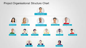 7 Types Of Organizational Chart Templates That You Can Steal