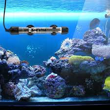 All betta fish are shipped from houston, texas to your shipping address with live arrival guarantee. Cautions For Betta Fish Heater