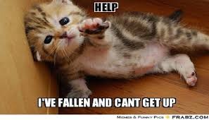 I've Fallen and Can't Get Up Meme - Consumers Confidence