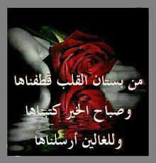 pin by gihan aly on صباحات ومسائات good morning images flowers good morning arabic good morning images