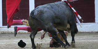 Arcila, voltereta y horrible caída | mundotoro.com
