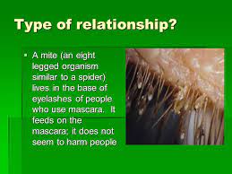 An immunomodulatory molecule of symbiotic bacteria directs maturation of the host immune system. Symbiotic Relationships Ppt Video Online Download