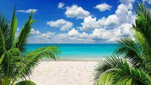 Playas Tropicales 4k Hd Beach Scenery Scenery Landscape