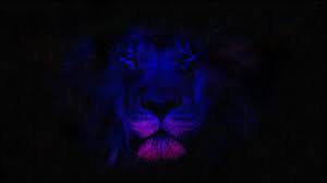 Blue Lion Wallpapers Top Free Blue Lion Backgrounds Wallpaperaccess Hd picture of lion wallpapers. blue lion wallpapers top free blue