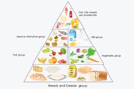 Free Balanced Diet Chart Download Free Clip Art Free Clip