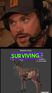 How many deer are surviving “one lung” shots? New podcast in story link  breaking down shot placement