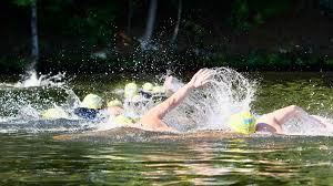 Image result for Glenniea