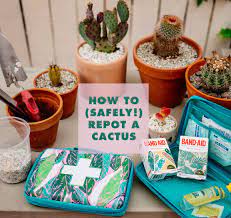 You cannot bring an ice pack on a plane. 210 Jungalow Tips Tricks Ideas Jungalow Sweet Home Decor