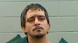 Mug shots: November arrests