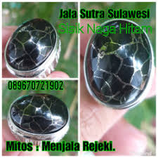 Gold coin seaweed pakan burung anis murai cucak ijo kacer: Jual Batu Jalak Sutra Model Desain Terbaru Harga August 2021