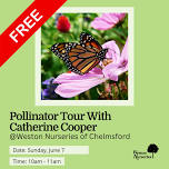 Seasonal Pollinator Tour With Catherine Cooper At Weston Nurseries