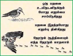  Dxfbfg Xcdbffg Good Life Quotes Tamil Motivational Quotes Life Quotes Deep