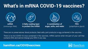 This means that the company took a virus that normally infects chimpanzees, and genetically modified to avoid any. Covid 19 Vaccine Frequently Asked Questions City Of Hamilton Ontario Canada