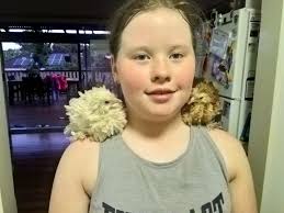 Dell and Viola parrots in Goulburn, NSW