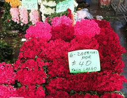 Comerciantes del mercado de jamaica dicen que heladas impactaron precios. Bed Of Roses The Mercado Jamaica Good Food Mexico